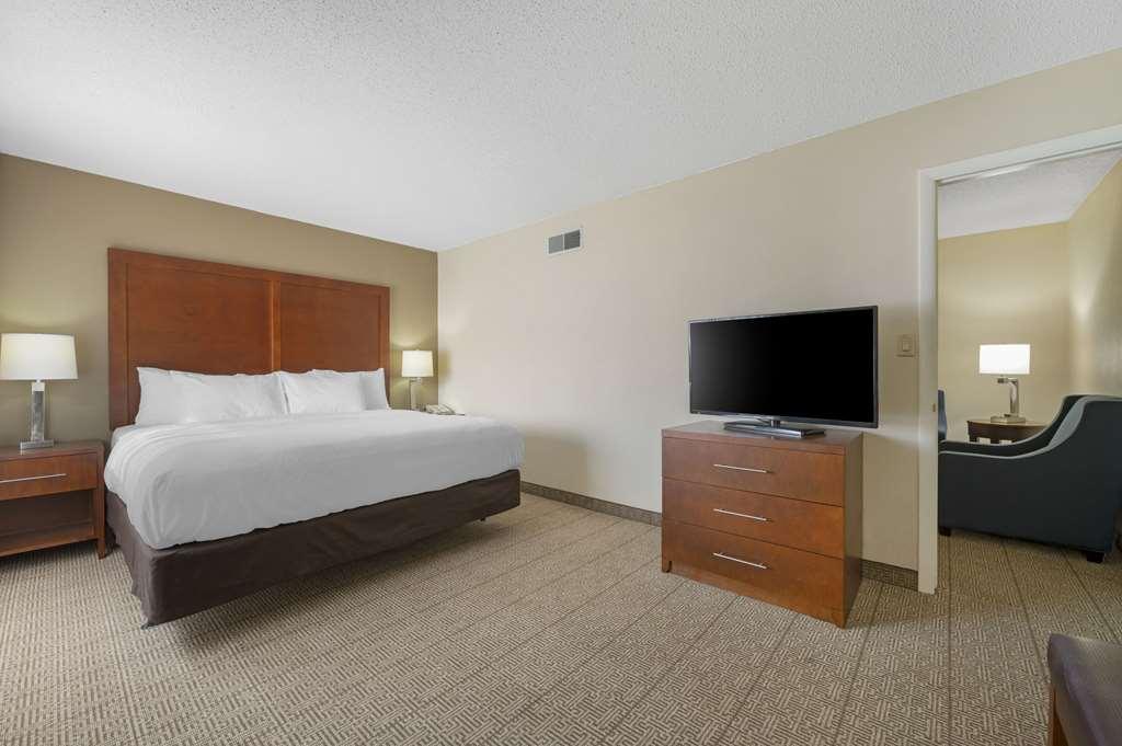 Comfort Inn & Suites North At The Pyramids Indianapolis Rom bilde